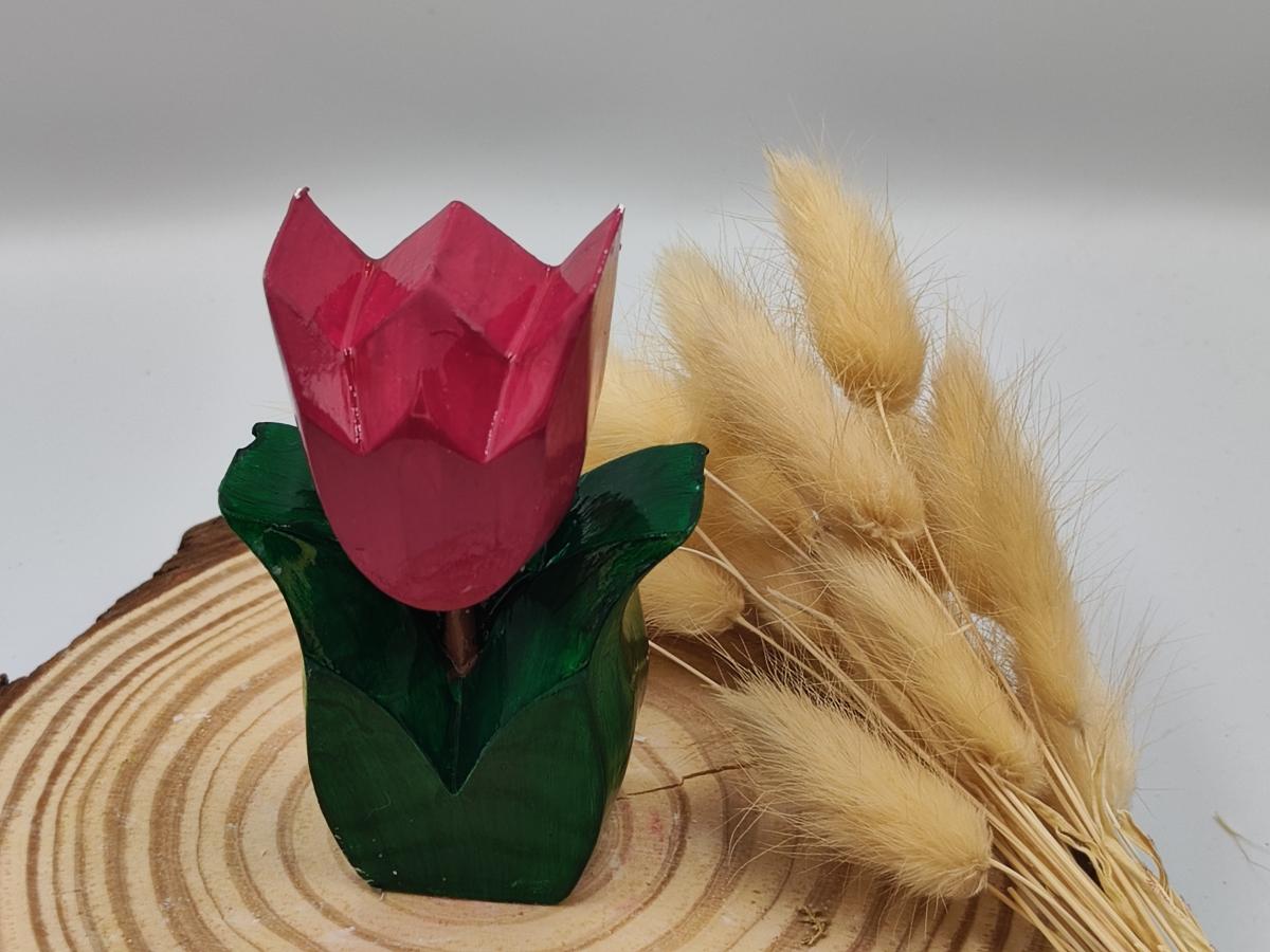 Tulipa Pintada